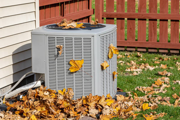 Best Best HVAC Companies  in Wellington, CO